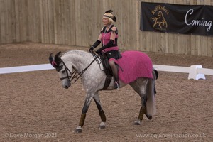 Lusitano Breed Society of Great Britain Show - Hartpury College - 27th June 2009